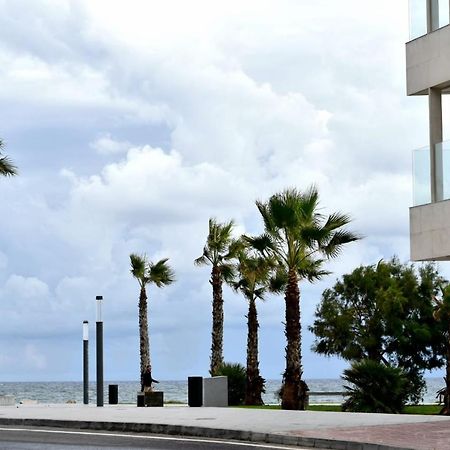 Estudio Gato Del Mar Торевьиа Экстерьер фото